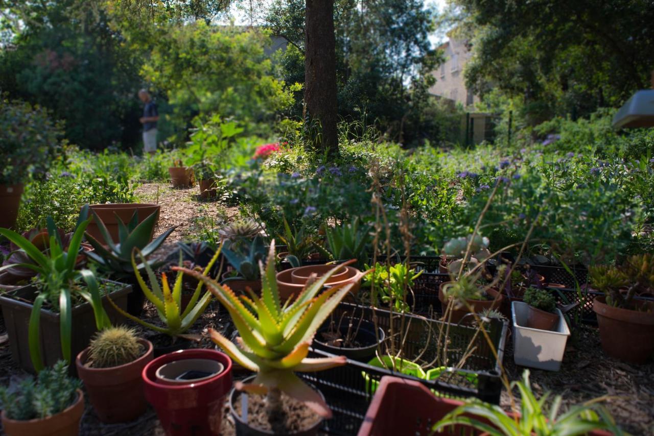 Ginkgo Bed & Breakfast Marseille Exterior photo